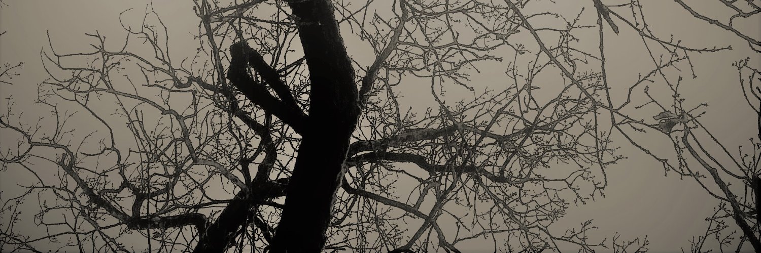 Sebastian Hoppe banner