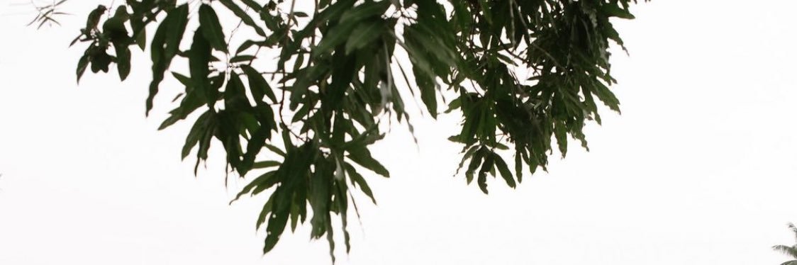 AnneIbraheem's profile banner image