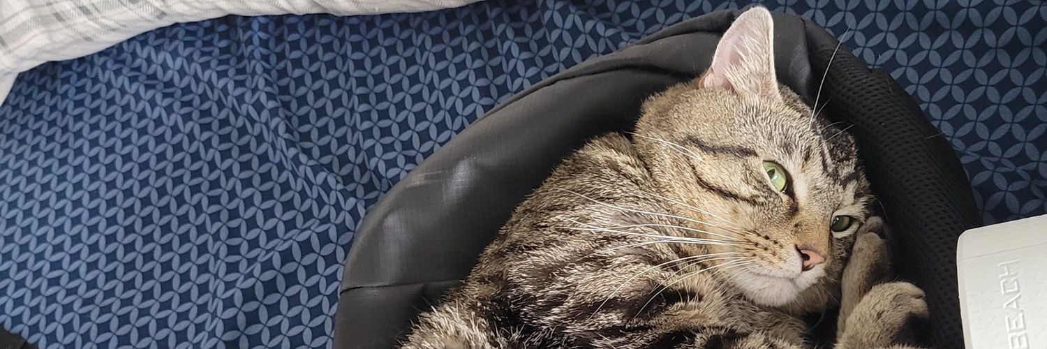 Madezian🇦🇲 banner