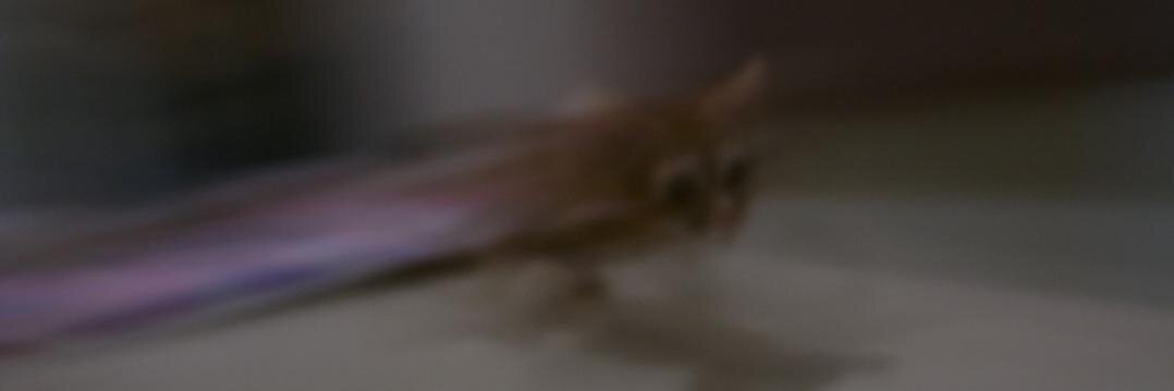 ohac's profile banner image