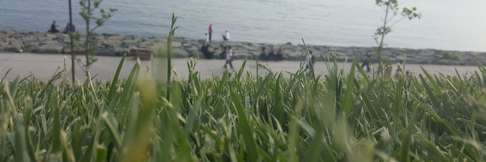 Grkngr 🇹🇷 banner