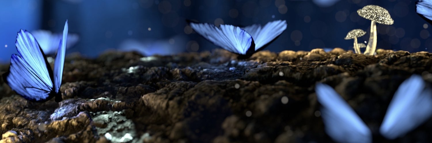aaylinkarakaya's profile banner image