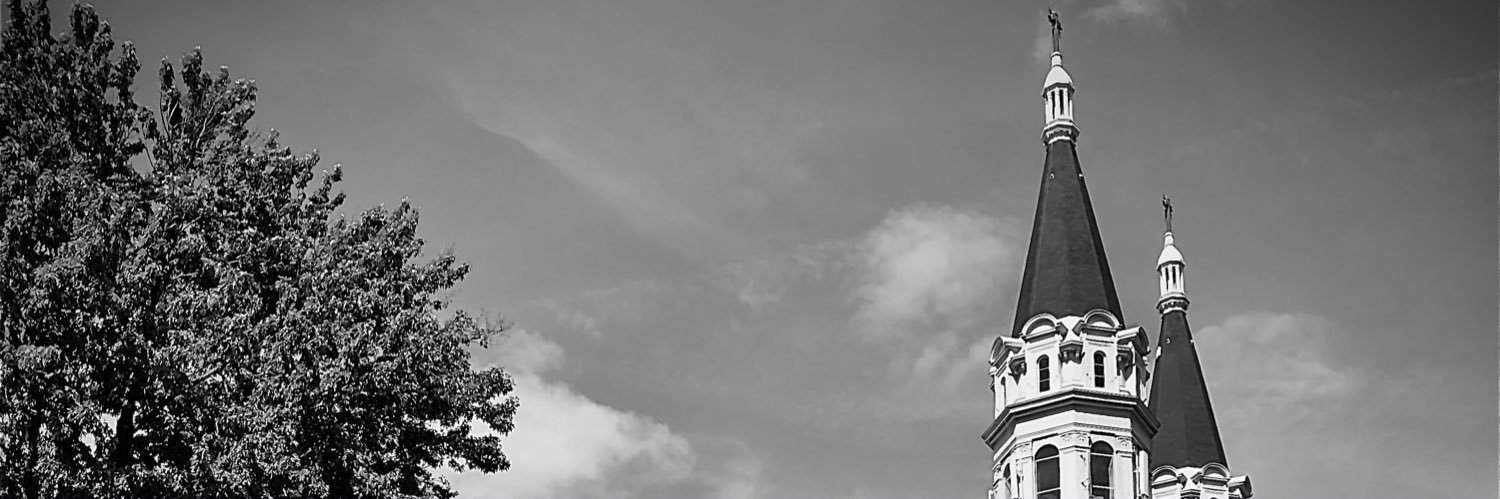 emile_vitus's profile banner image
