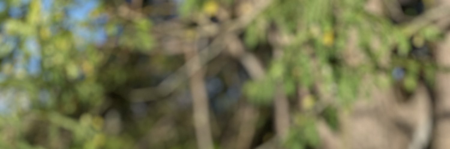 JonnKimmy's profile banner image