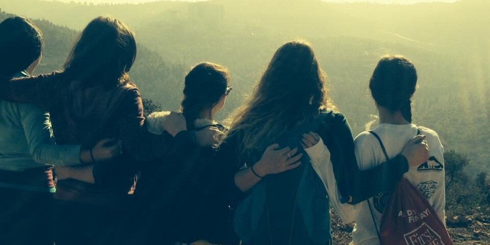 SFarekas8's profile banner image