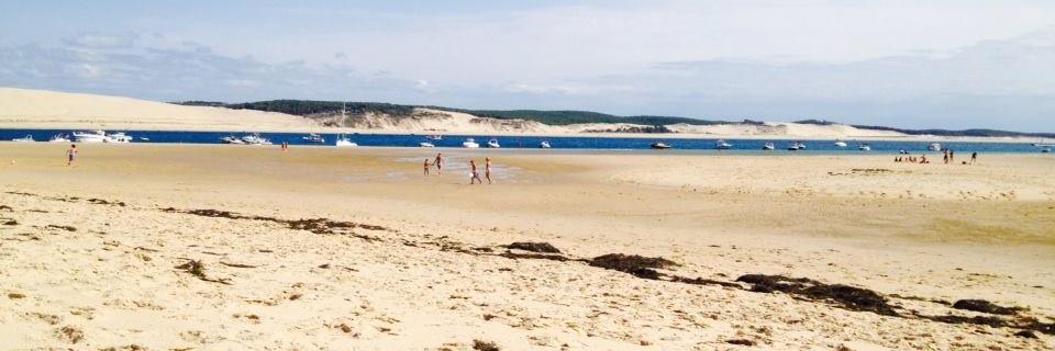 Carole d'Armaillé banner