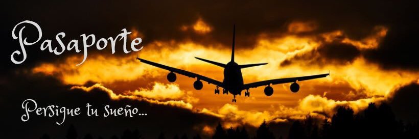 Aleyda Gatell ✈️ banner