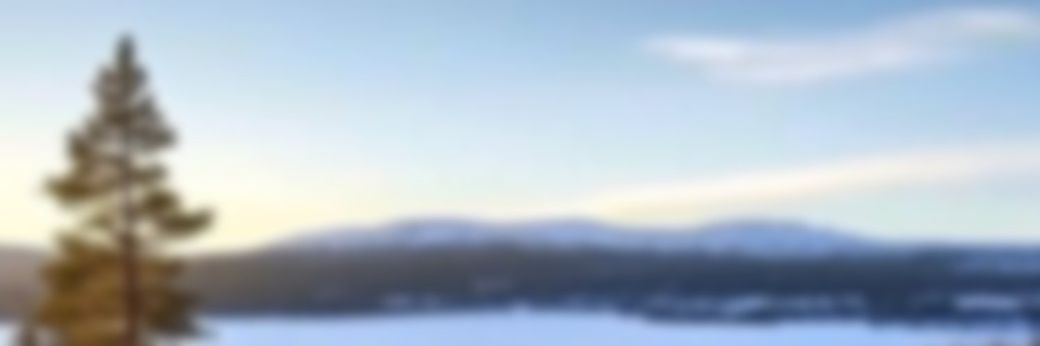 Gildedchris's profile banner image