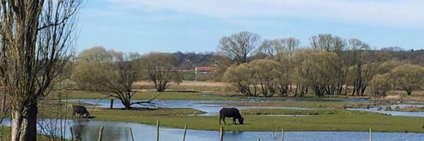 wecapp Profile Banner