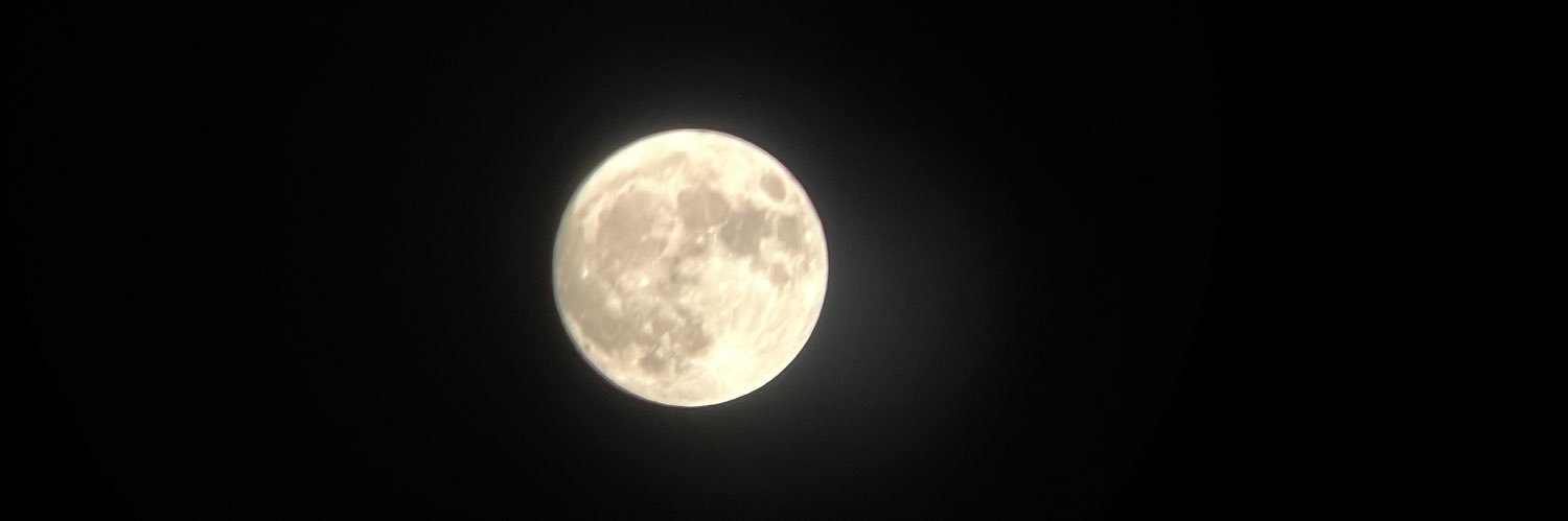 SashlynJ's profile banner image