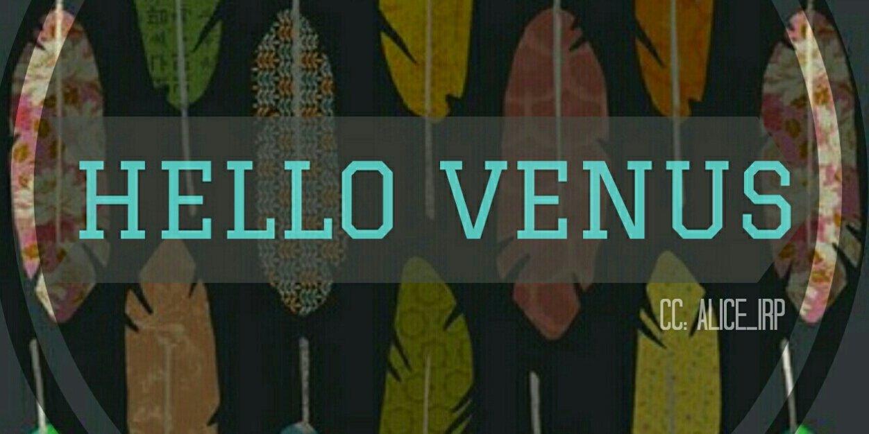Alice_IRP's profile banner image
