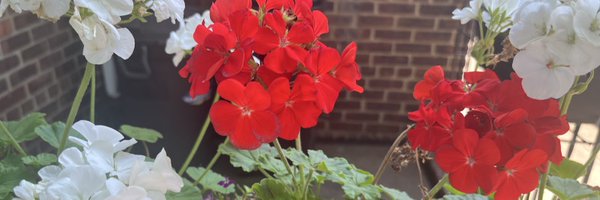 nansiedrew Profile Banner