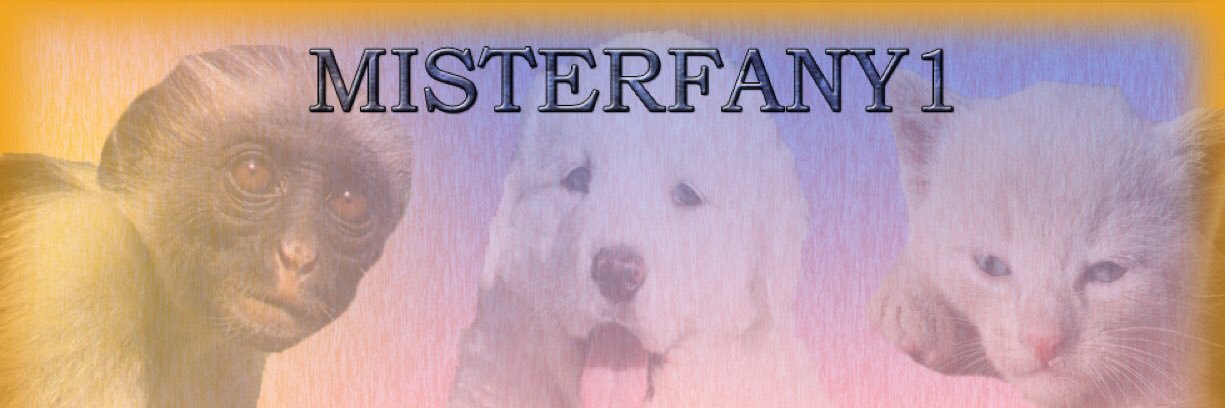 misterfany1's profile banner image