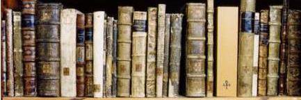 Joan Fitzgerald banner