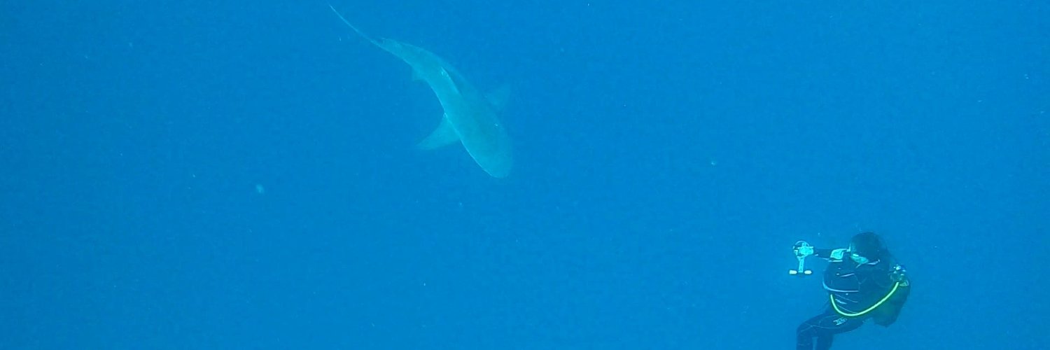 Jake Smallbone banner