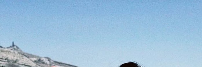 lizzie banner