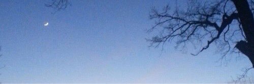 harryfairies's profile banner image