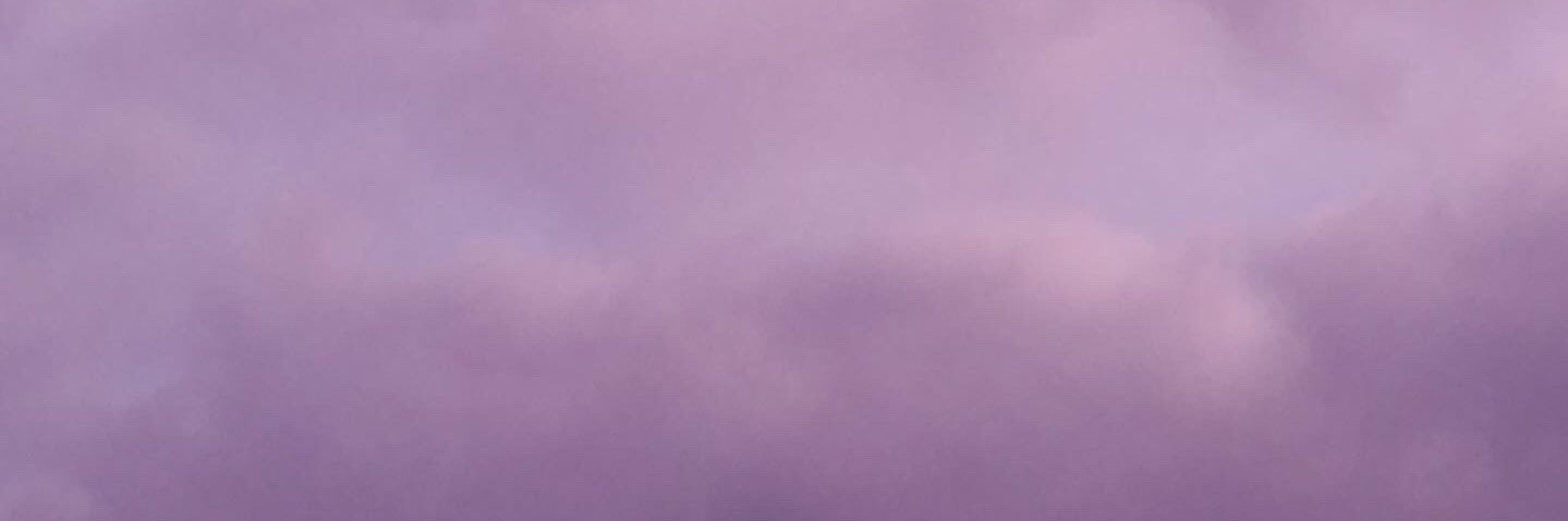 raspberryella's profile banner image