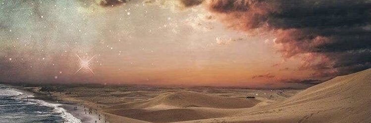 ariagt_'s profile banner image
