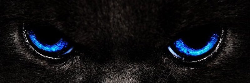 alfredocanova's profile banner image