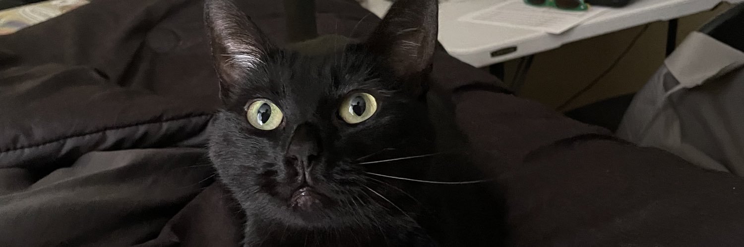 tykashow's profile banner image
