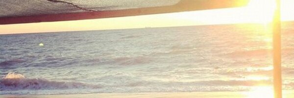 Enisa_ Profile Banner