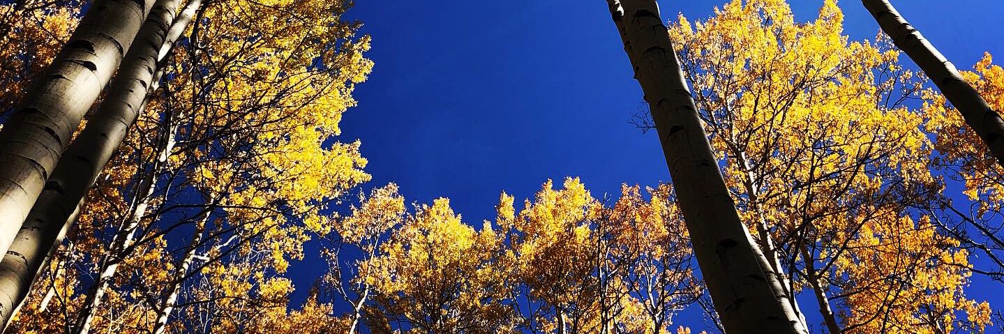 Allie Kovar, MD banner