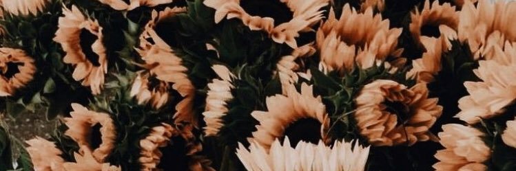 lo_tait's profile banner image