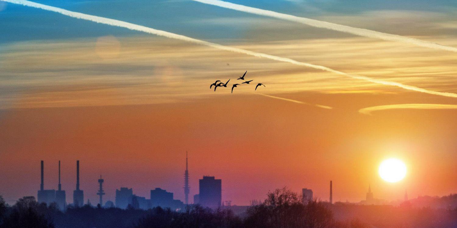 MiamianSummer's profile banner image