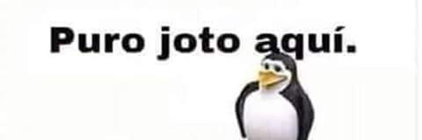 gcrow98 Profile Banner