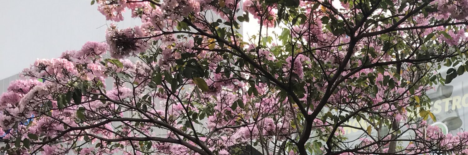 AnyiCastroG's profile banner image