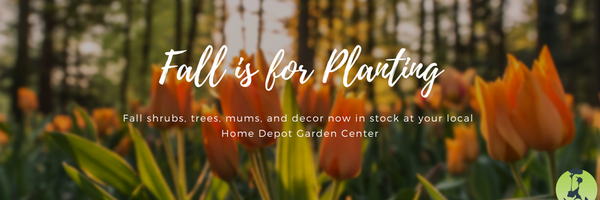 ics_plants Profile Banner