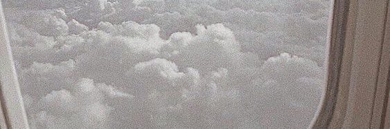 zuzios's profile banner image