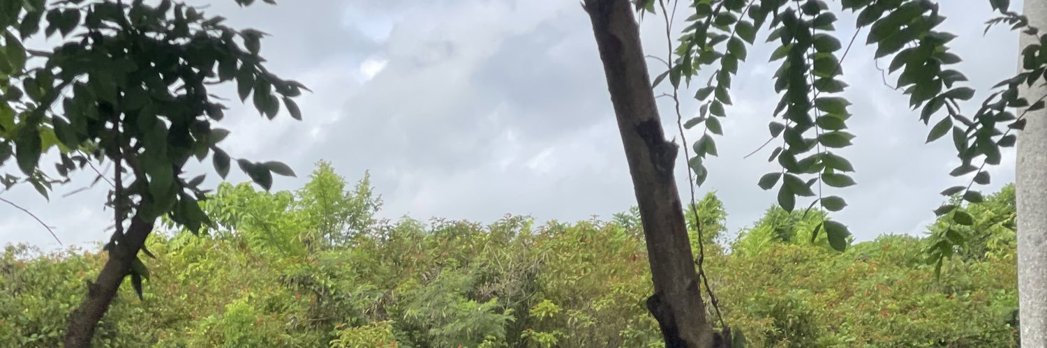 mpolo_4's profile banner image