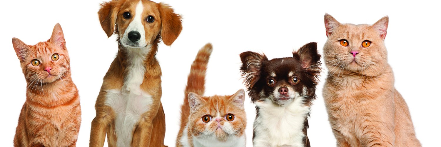 Fayette_Humane's profile banner image