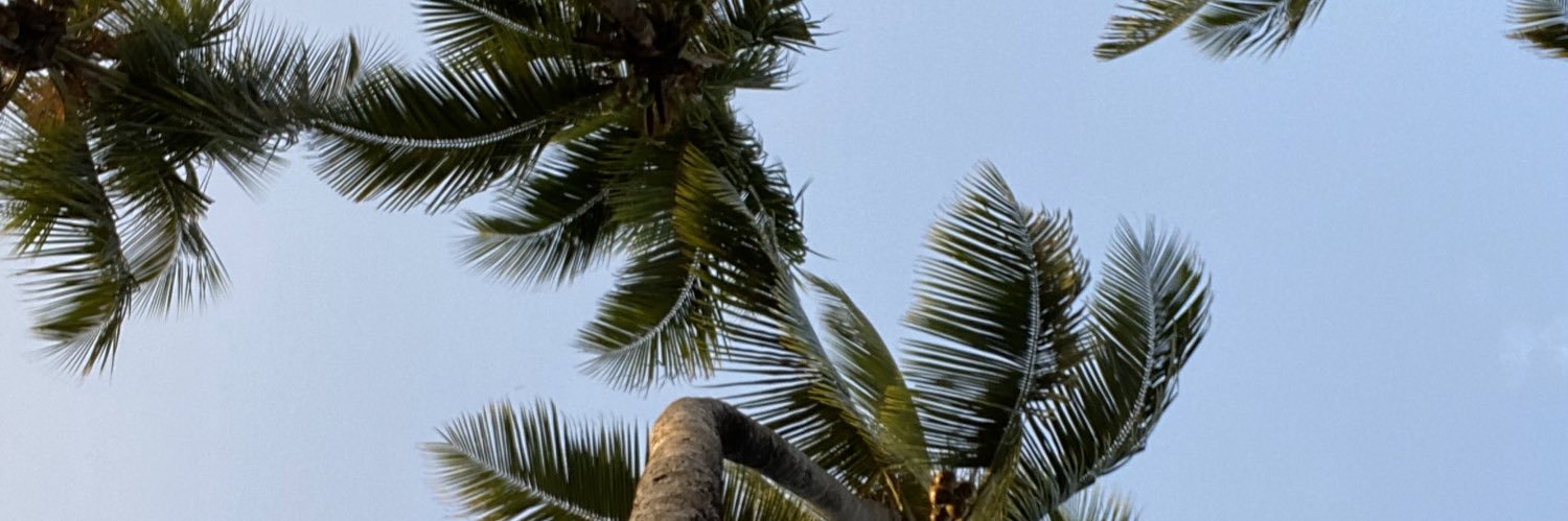 justnolanc's profile banner image