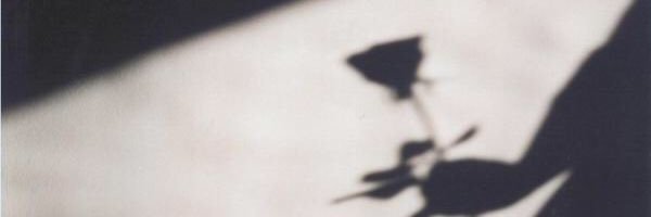 abcd banner