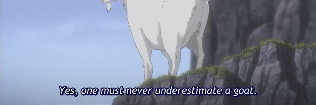 torogustinho's profile banner image