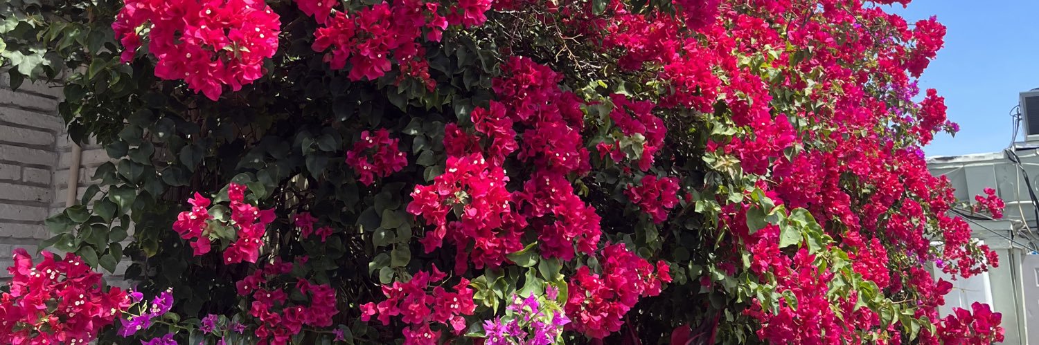 Funes_Kate's profile banner image