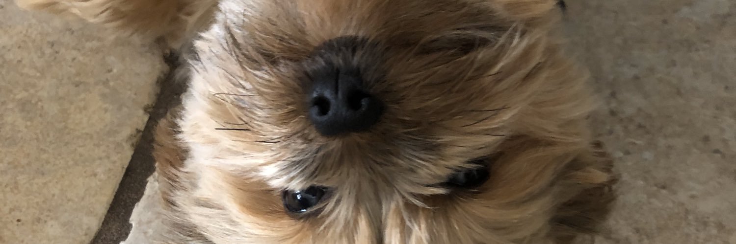 gmazz_'s profile banner image