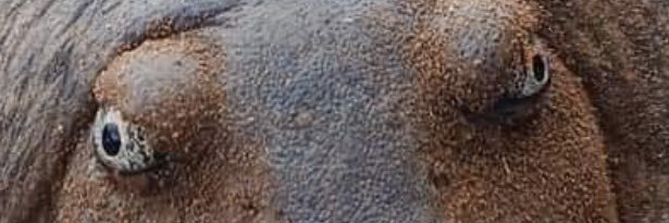 ClineWilderness's profile banner image