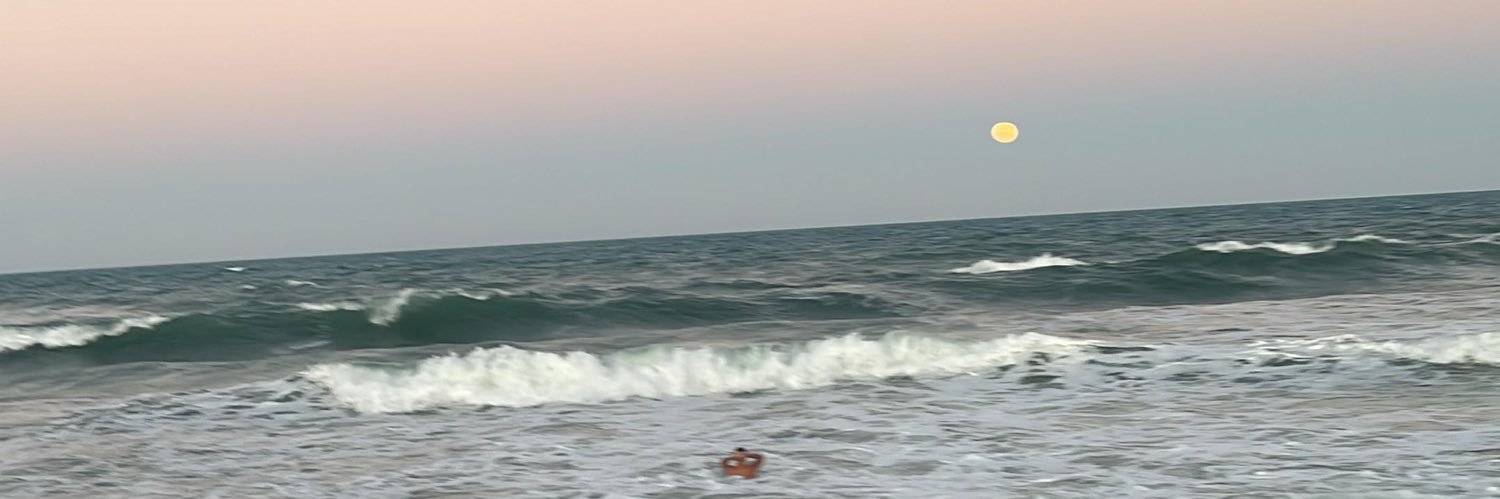 fitorugo's profile banner image