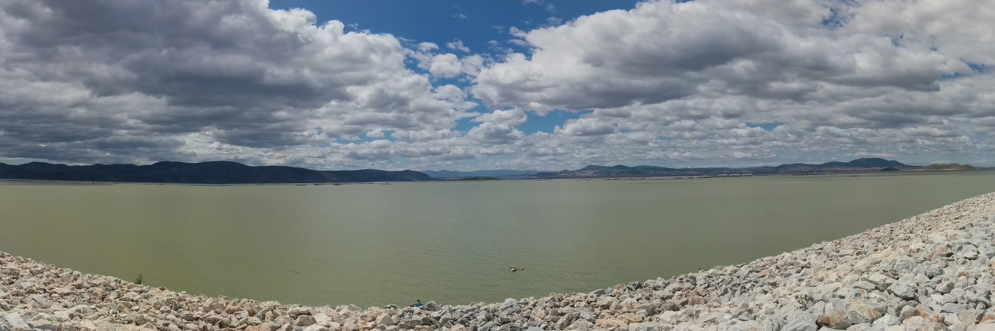 CyanoLab AUTH banner