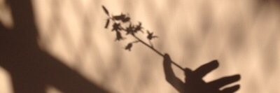 shaasha_im's profile banner image