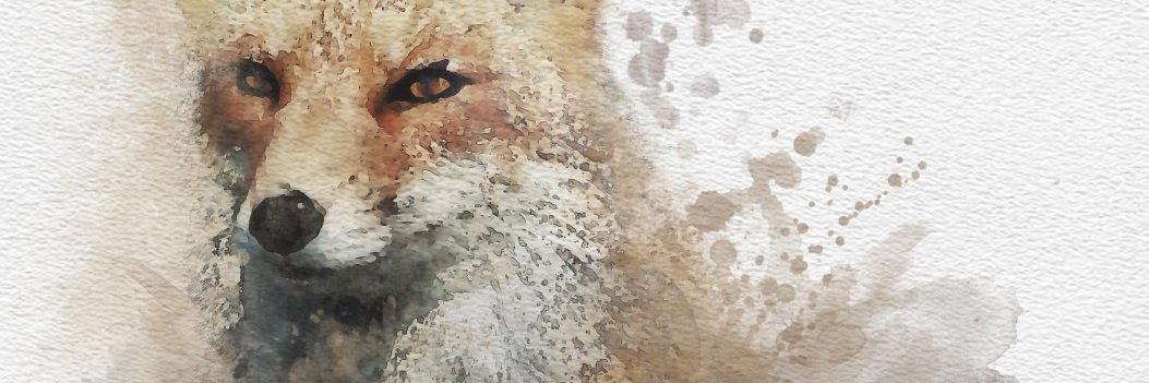 blackyOh's profile banner image