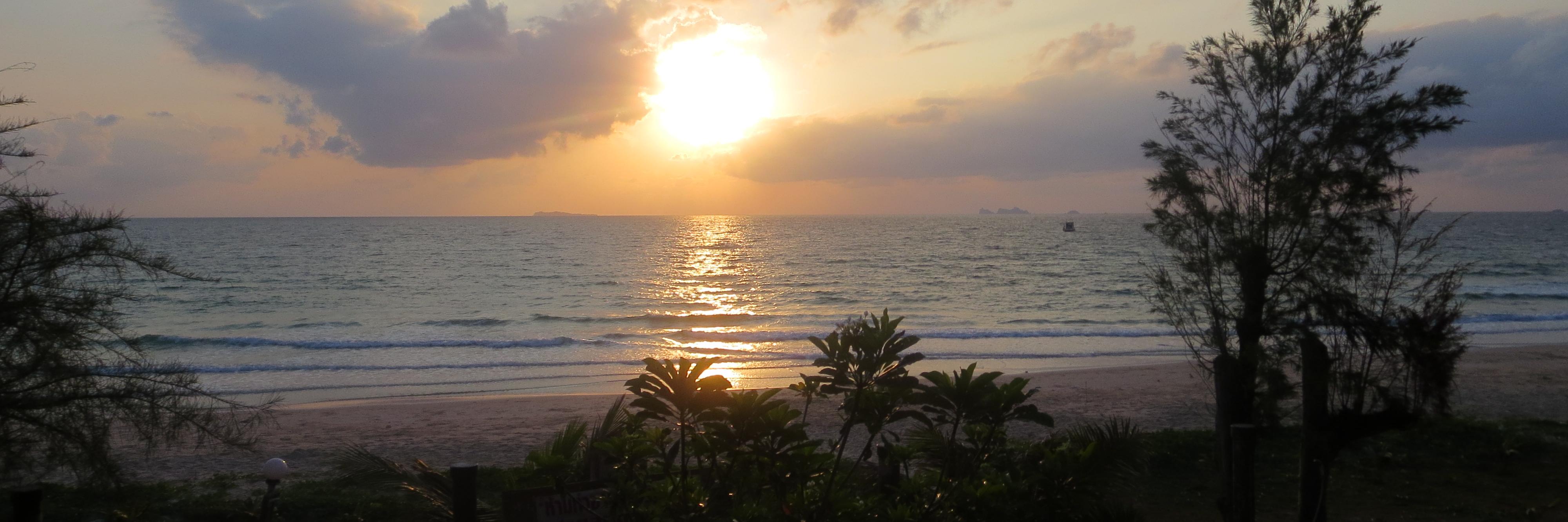 Calum Thornton banner