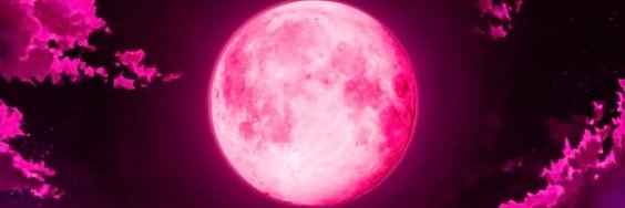 josephq_eth's profile banner image