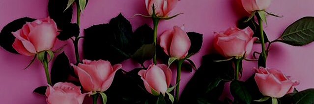 jeedr_'s profile banner image