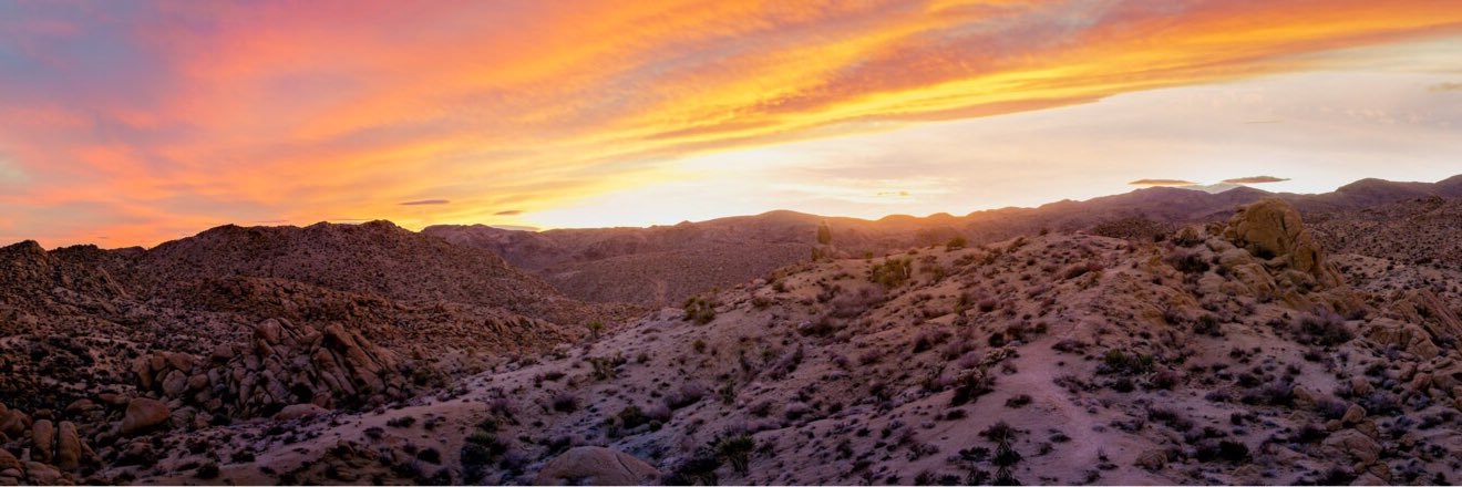 Aran Eversman banner