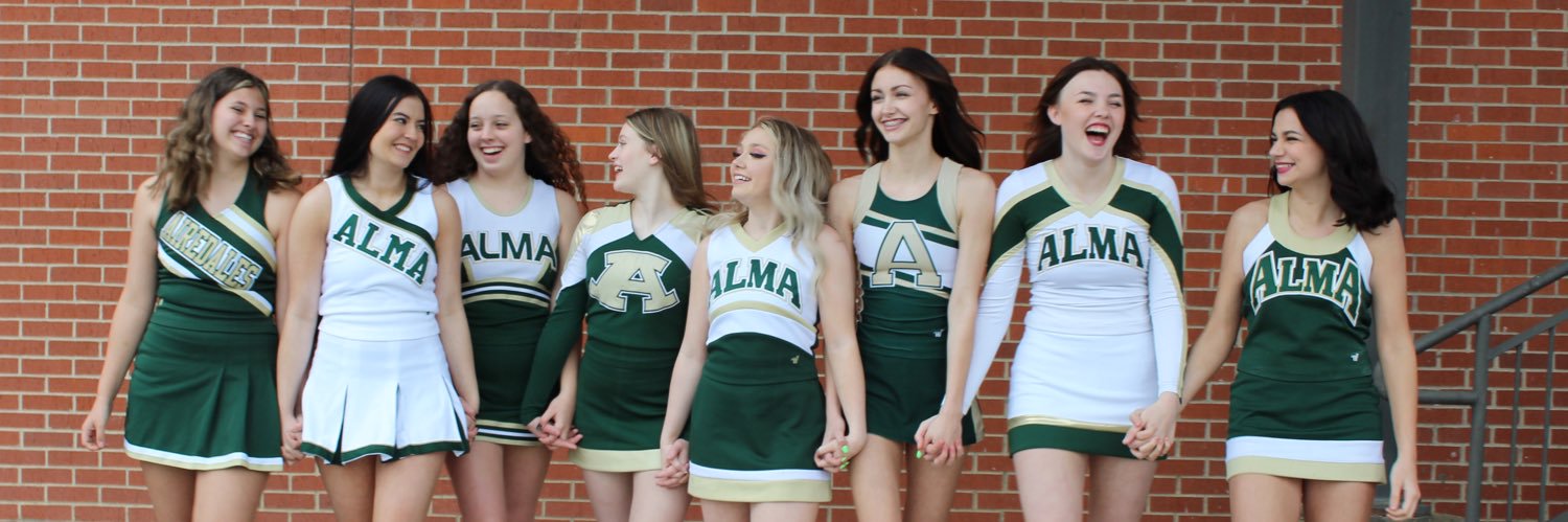 Alma Cheer banner